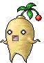 Bellflower Root