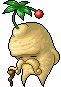 Sr. Bellflower Root